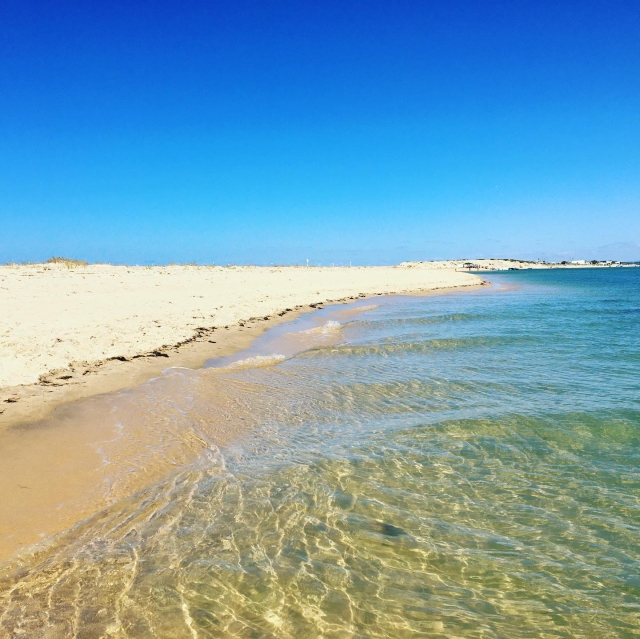  A Ria Formosa 