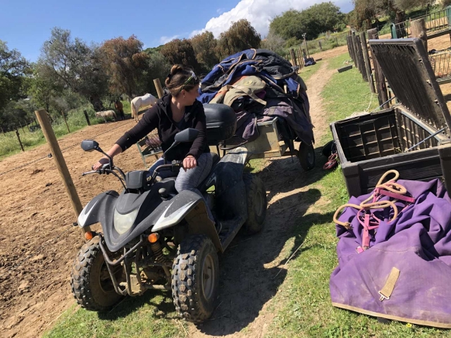 Realizando labores de mantenimiento en el interior de la finca