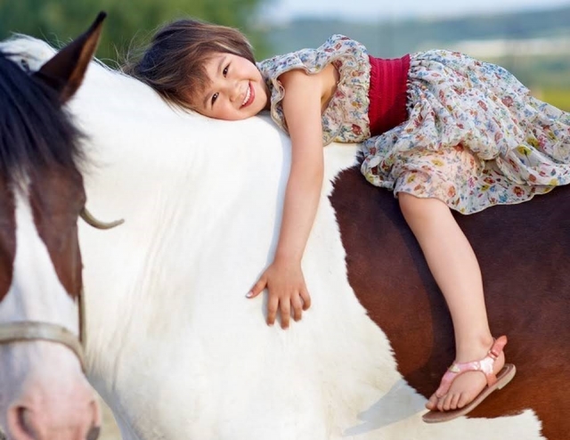e-19766387-a-lomos-de-un-noble-caballo168017688716801804134107.jpg