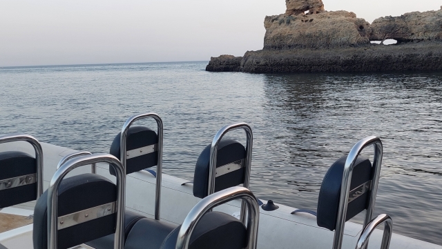  Bateau pour voir les dauphins 