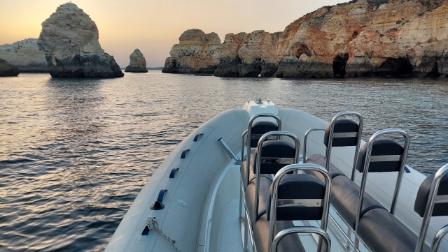  Bateau prêt à voir les dauphins 