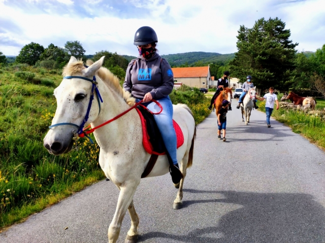  Trotting along the roads with the horse 