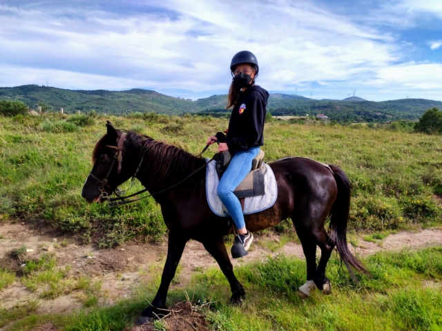  A splendid horse through the Portuguese fields 