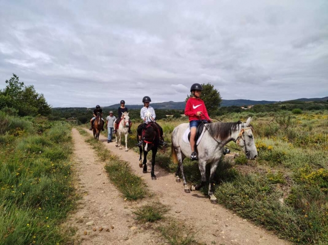  A horseback riding route through the fields of Portugal 