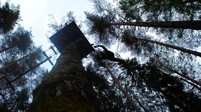  From below everything seems enormous 