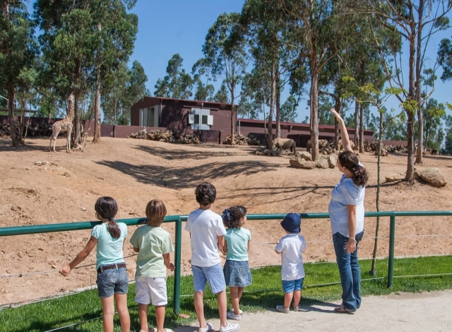  Enfants visitant le zoo 