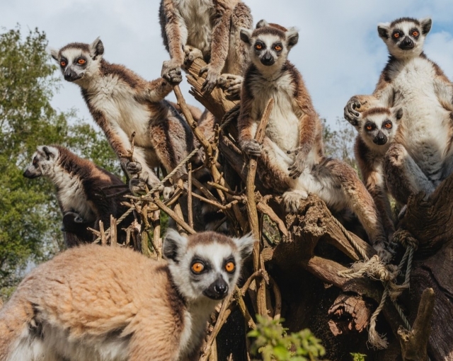  Visitez le plus grand zoo de Porto 