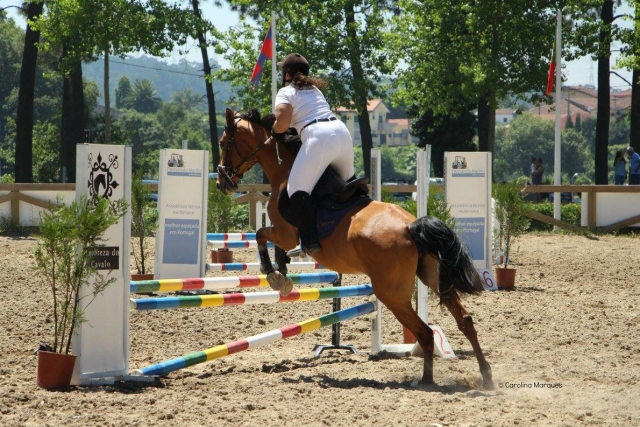 Lezione di equitazione e salto a Porto 