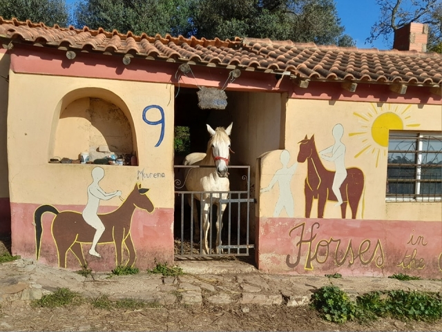 Caballo en el establo