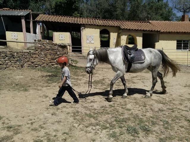 Niño con un caballo
