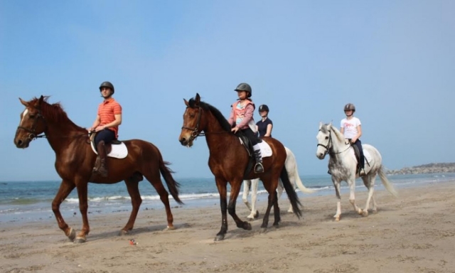 Tour a caballo por la playa