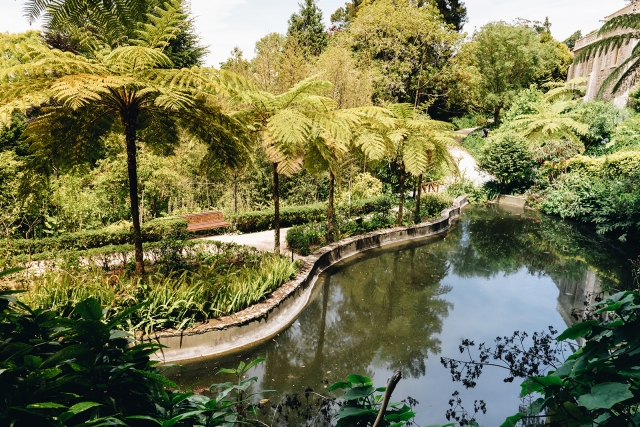 e-19864421-jardines-del-palacio171819339417181979873407.jpg