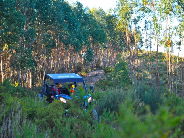  卡内拉斯的越野车路线 