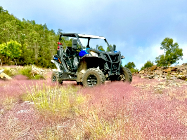  尝试我们的两座越野车之一 