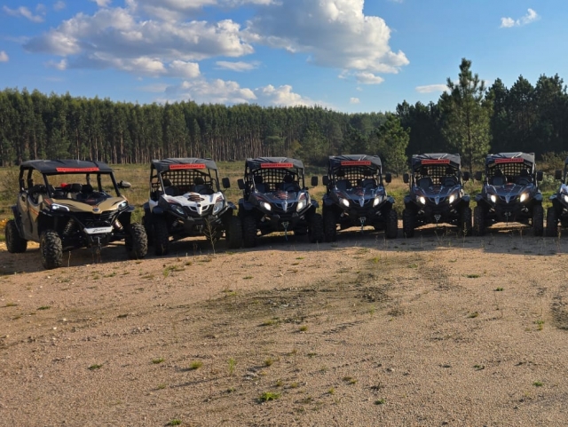 Flota de buggies