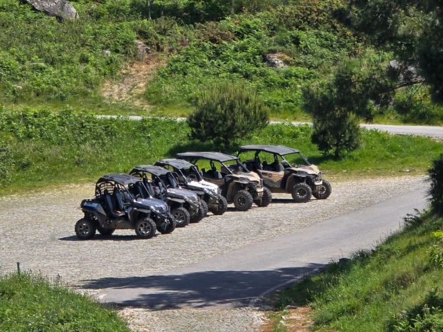 e-19865271-buggies-listos-para-la-aventura173875885717387589163373.jpg