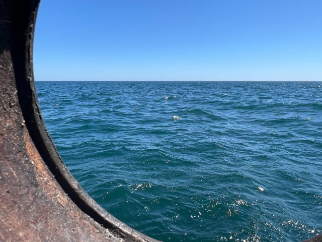 Vistas desde el barco
