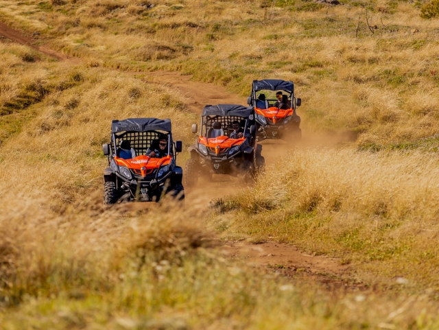  Buggies intorno a 