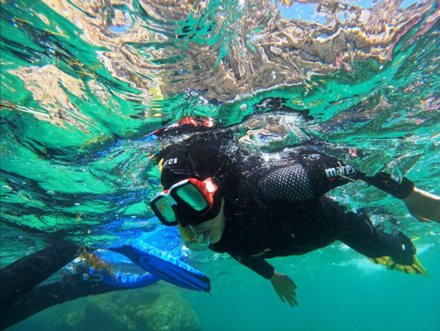 Snorkel en Praia do Creio en Arrábida 3 horas