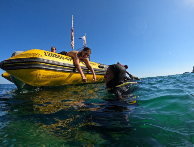  Friends snorkeling together 