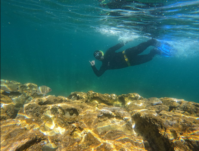  Snorkeling on the coast of Setúbal 