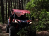 Percurso de buggy pela floresta da Nazaré 1 hora