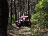 Ruta en buggy por el bosque de Nazaré 2 horas