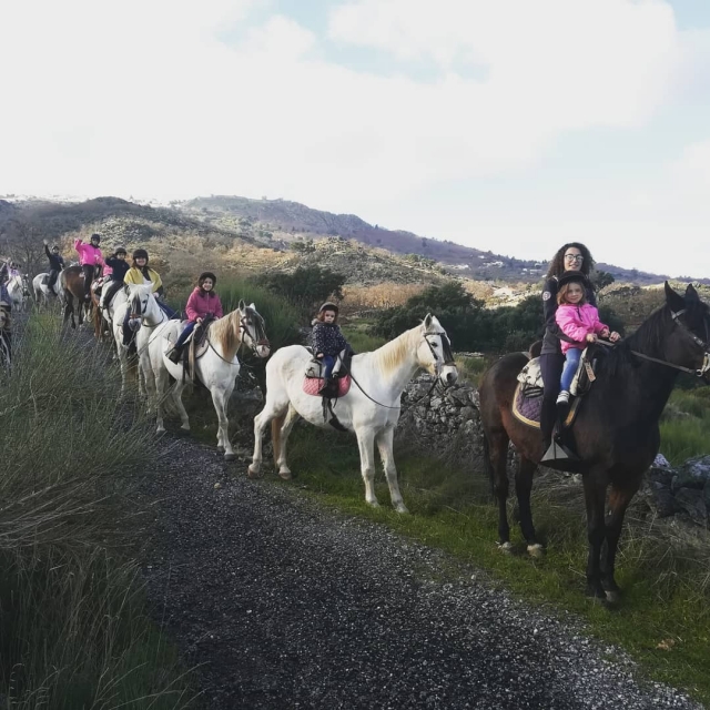  Passeios a cavalo para famílias 