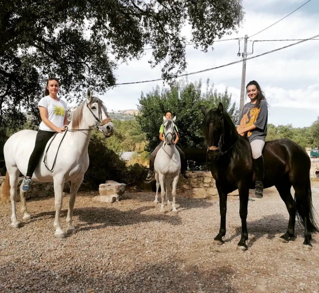  Passeios a cavalo em Portugal 