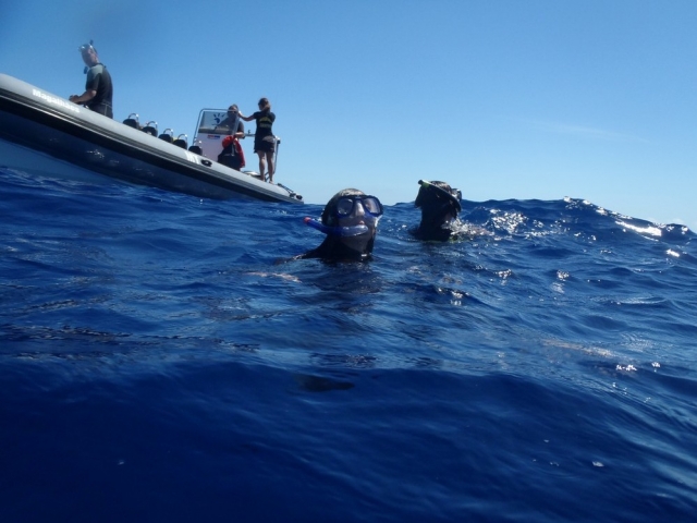  In the water waiting for the dolphins 