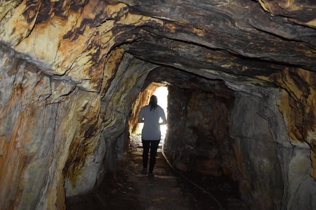  Während des Besuchs 