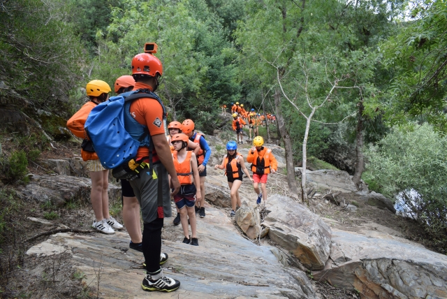 Monitor explaining the activity 