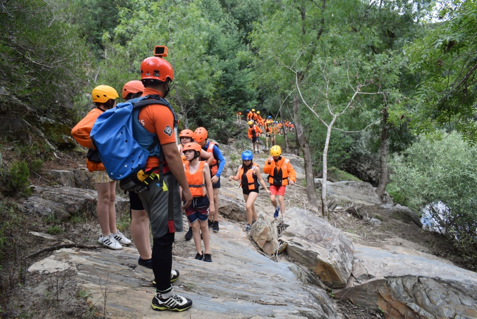 Monitor explaining the activity 