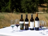Cata de 6 vinos en viñedos de Igrejinha, Évora 1h