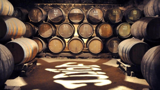 Bodegas de Setúbal