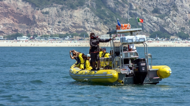  Le calette di Arrábida in barca 