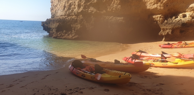  kayaks on the shore 