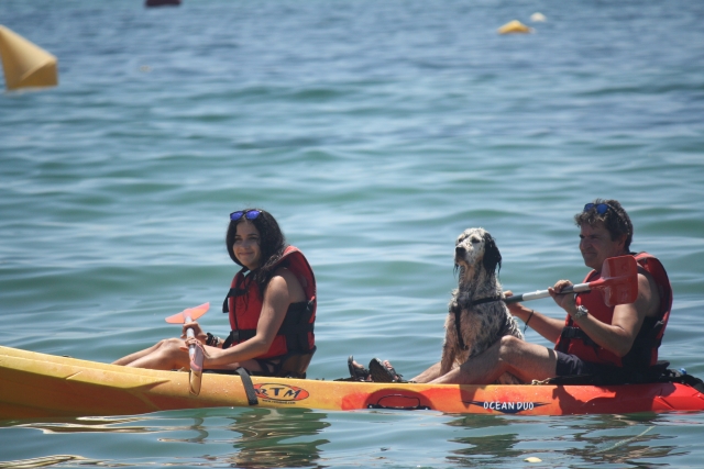  kayaking with the dog 