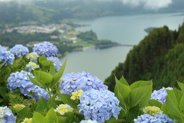  七城风光 
