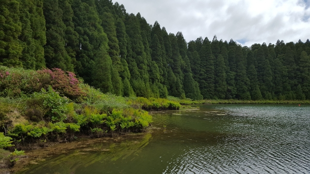  亚速尔群岛圣米格尔 