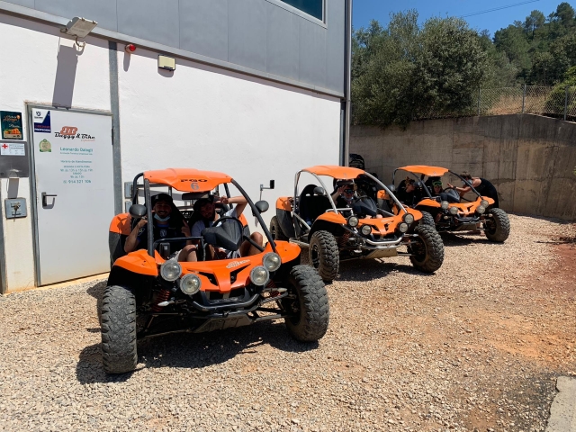  buggys prontos para partir 