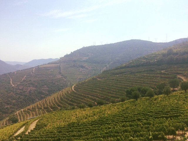 sierra de montemuro