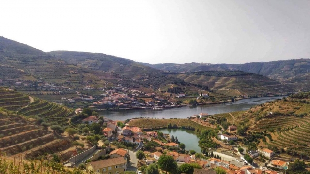  valle del Douro 
