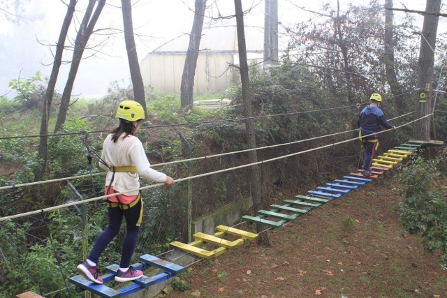  多重冒险赛道 