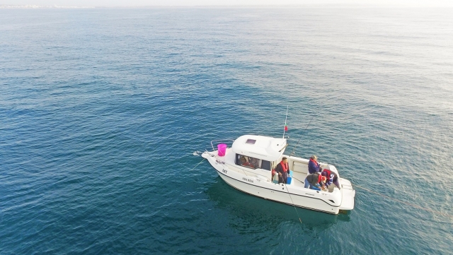  bottom fishing in the Algarve 