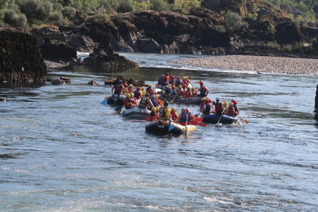  navigare in squadra 