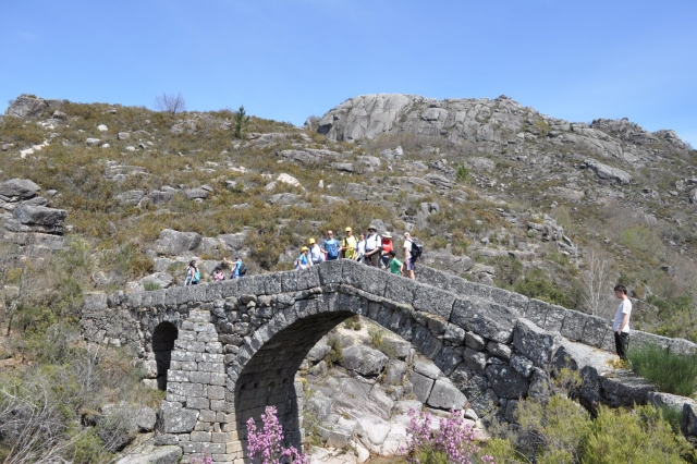  crossing the bridge 