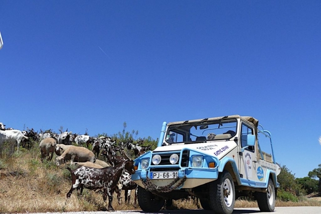  Itinerario attraverso la Mata 