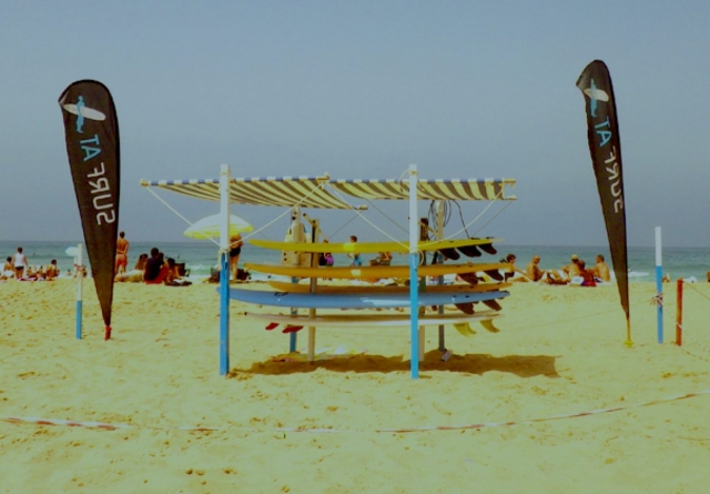  board rental 