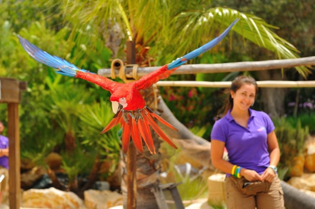 Loro en el zoo